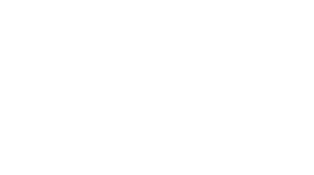 standvast-logo